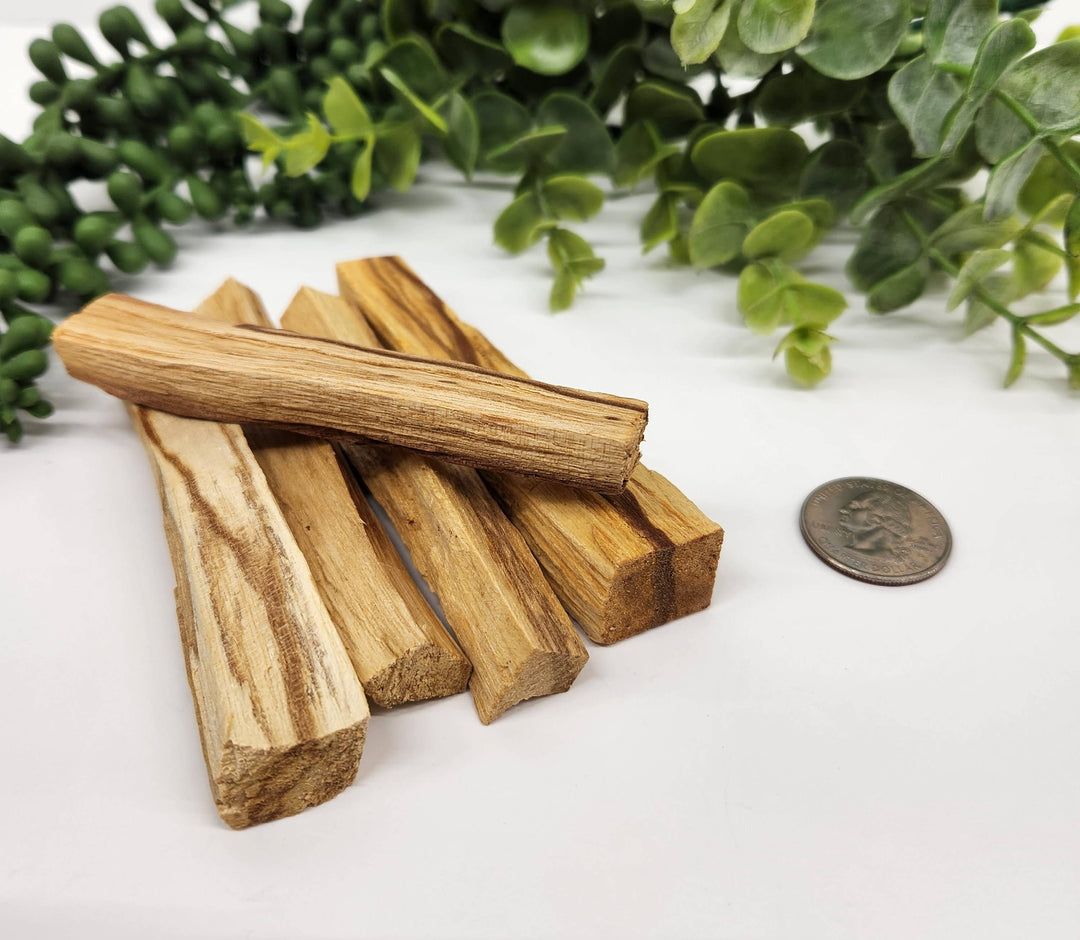 Palo Santo Sticks 1 kg(2.2 lbs) 10cm/4 inches