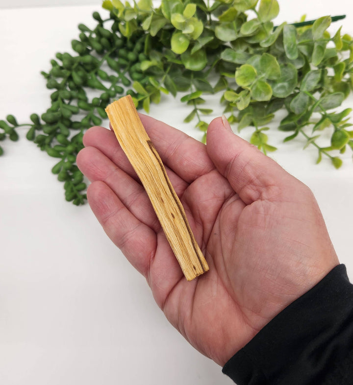 Palo Santo Sticks 1 kg(2.2 lbs) 10cm/4 inches